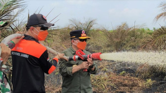 Kebakaran Lahan Gambut Hantam Desa Persiapan Air Merah, Gubernur Jambi Ikut Padamkan Api